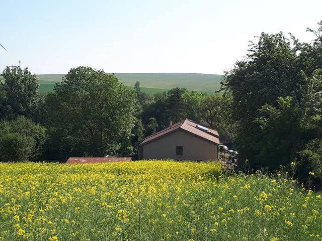 Le vieux nayeu