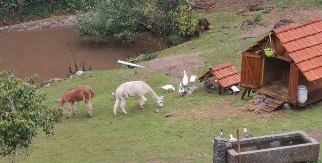 Gites A La Ferme A 5 Minutes Du Lac De Gerardmer Image
