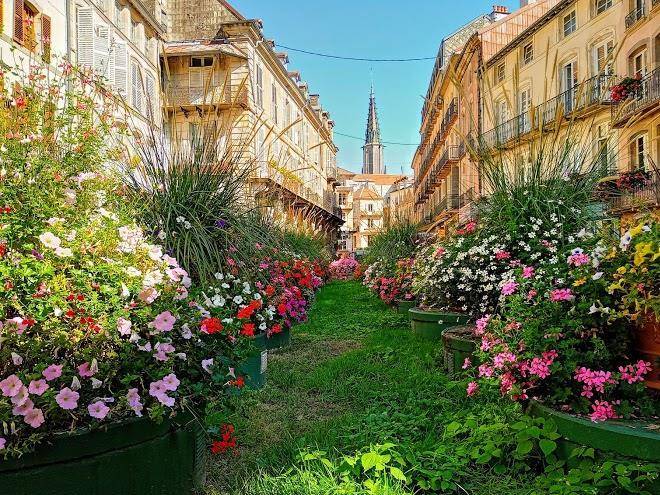 Hotel d'alsace