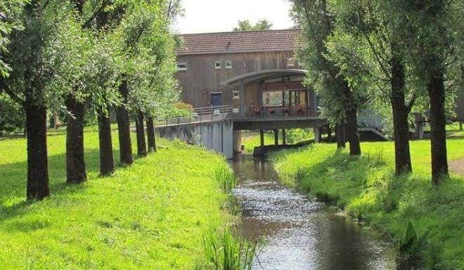 Le moulin cotant