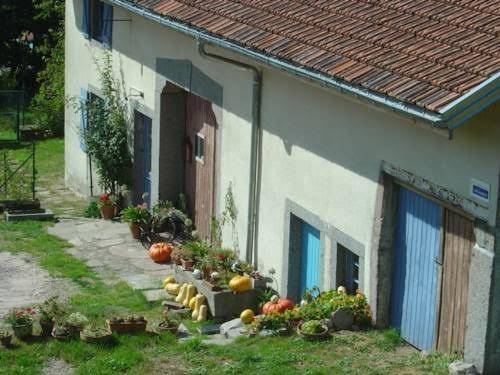 Le sole bassurois