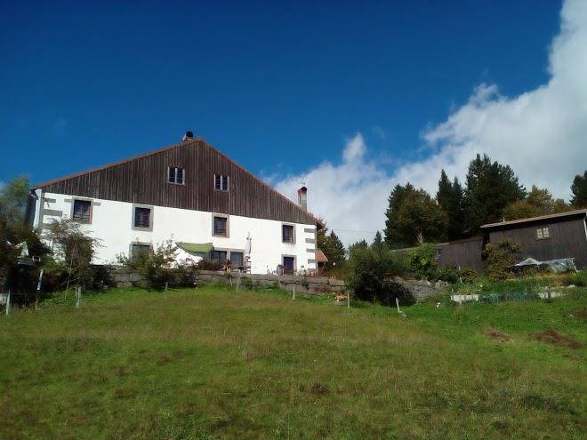 Les tannes
