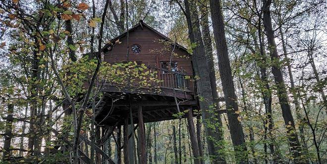 Cabane nature
