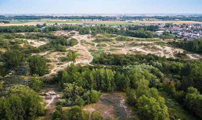 Evancy Bray Dunes Etoile De Mer Image
