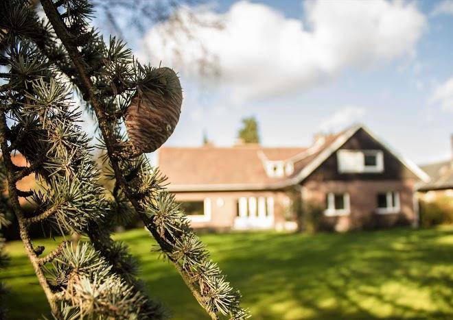 La Belle Monsoise Image