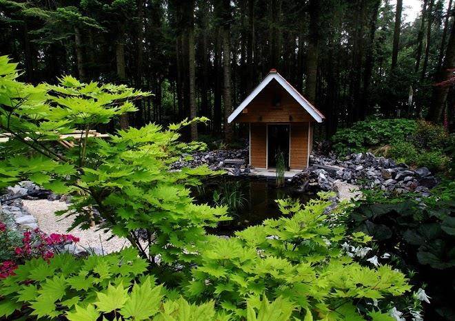 Le Sequoia Annie Et Jean Claude Louis Image