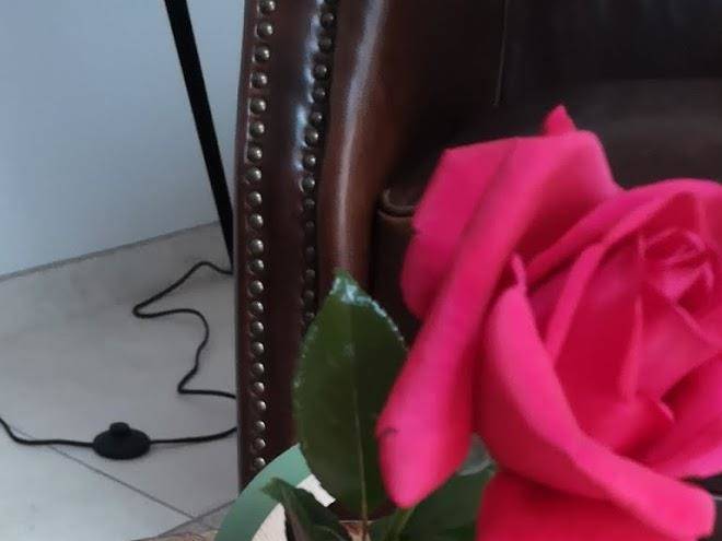 A L'oree Du Chateau Image