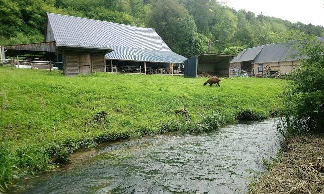 Gite de la ferme d'annie