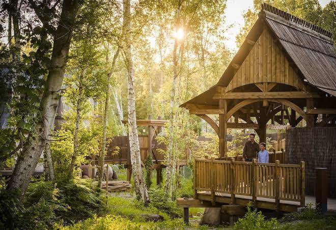 La Cite Suspendue Image