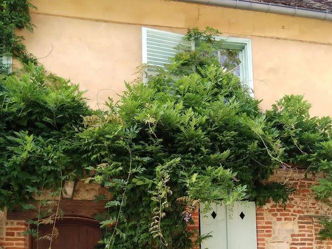 Les jardins du vidame