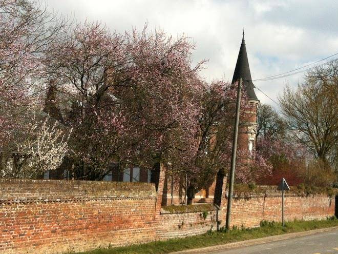 Le chateau des marronniers