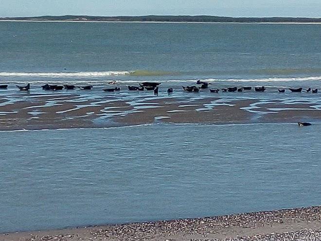 Escale en baie de somme