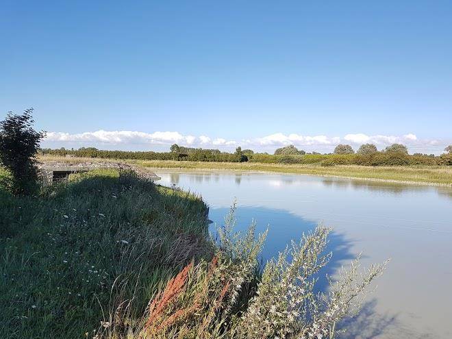 Le marais du nemrod