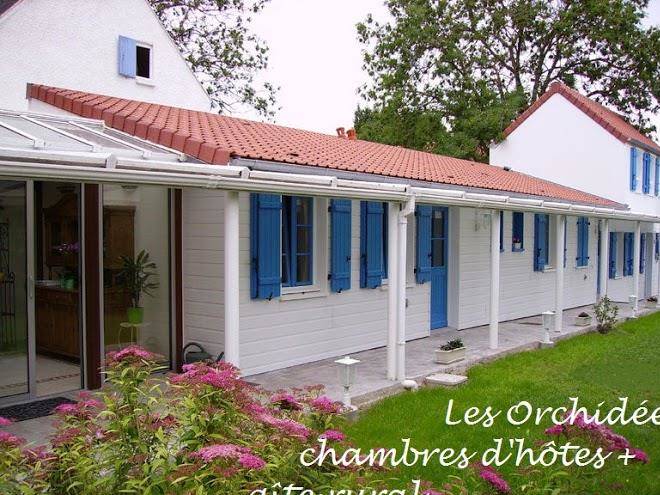 Les orchidees