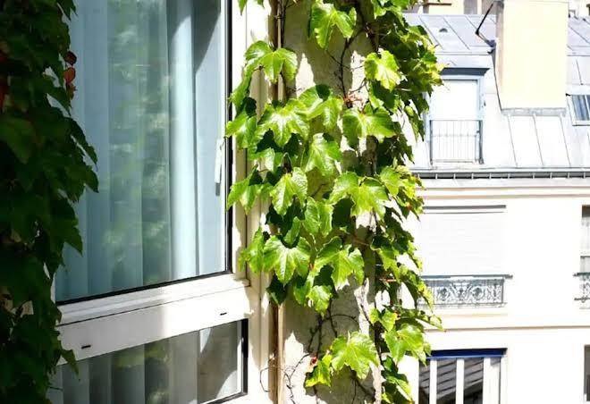 Hotel fertel etoile