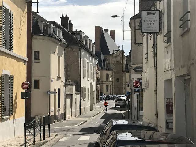 Hotel fontainebleau la carpe d'or