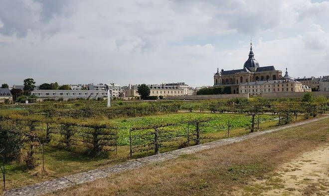 L'orangeraie