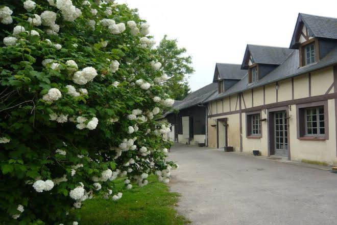 Haras de la griserie