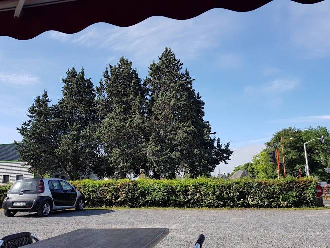 Hotel restaurant l'ammonite