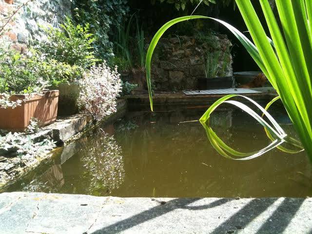 La Cour Au Lavoir Image