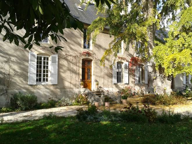 Le grand arbre