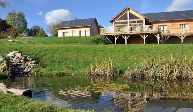 Larbre Aux Etoiles Image