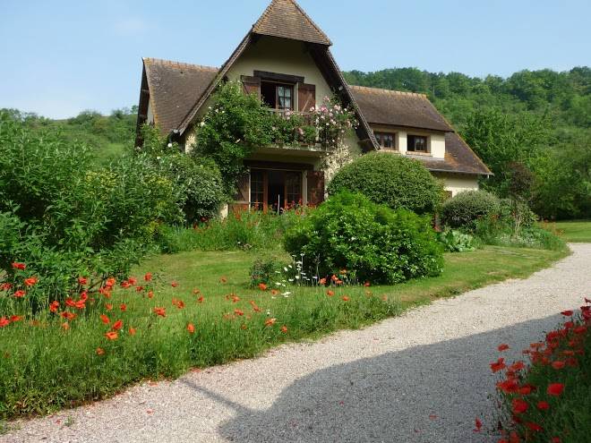 Les coquelicots