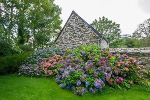 Gite des fougeres