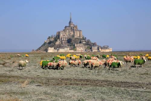 Le gite de la greve mont saint michel