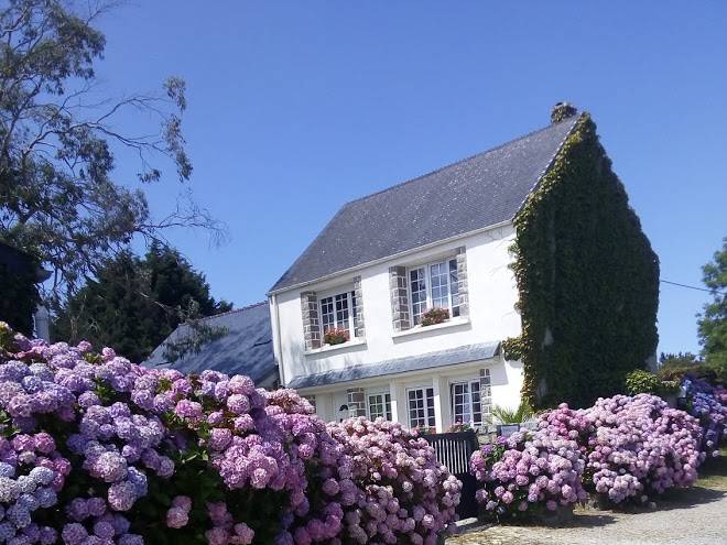 Madame deville francoiseles hortensias