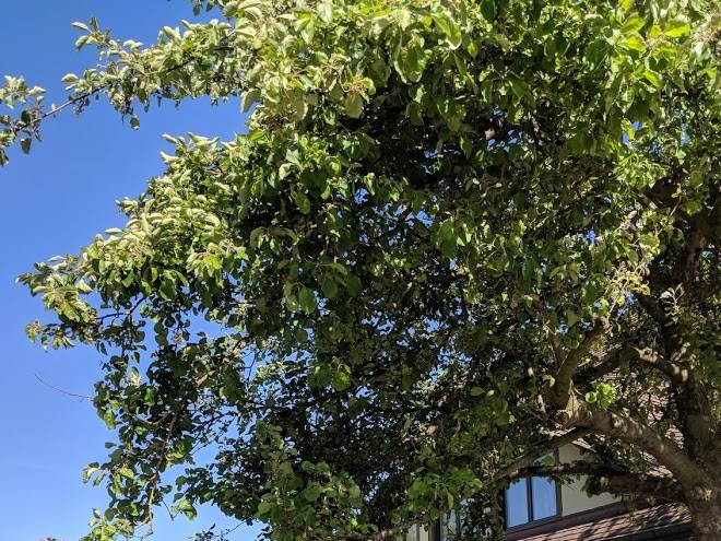 Jardin Des Enigmes Image