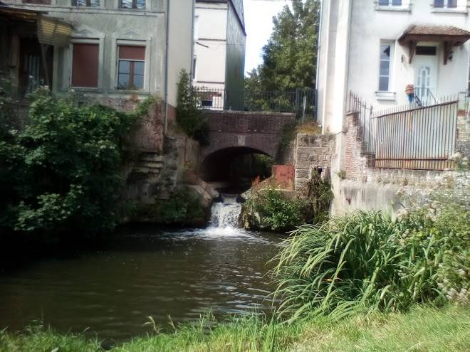 Le cygne