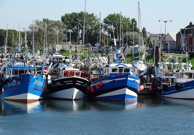 Voiles Et Terrasses Image