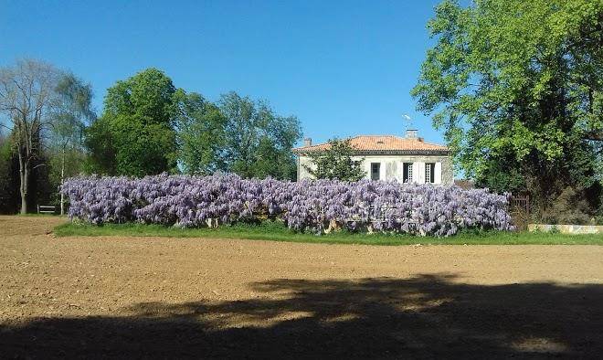 Chez savary