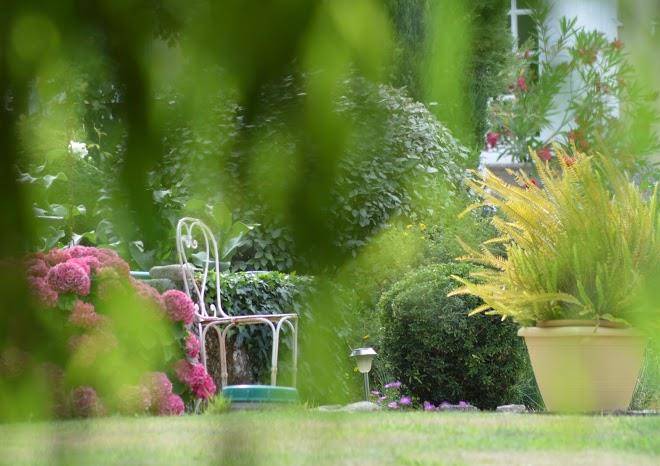 De loynes regis
