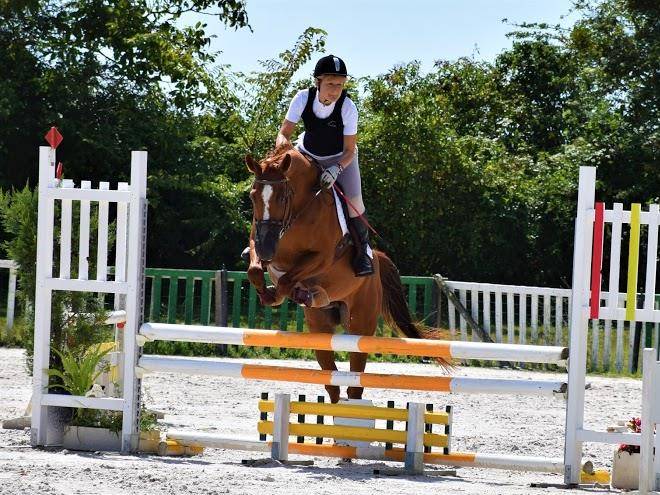 Centre equestre le cheval autrement