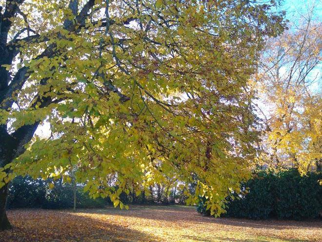 Le fragnaud