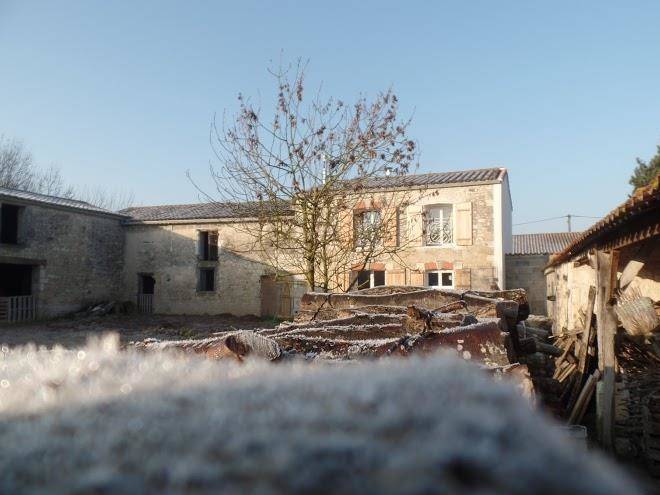 Le nid de la collegiale