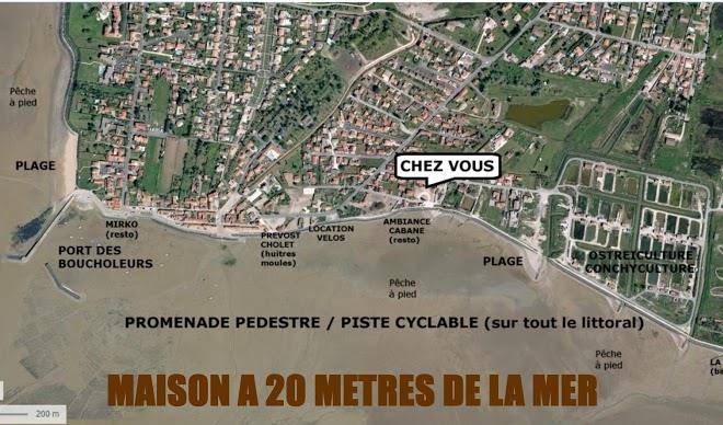 Les pieds dans l'ocean