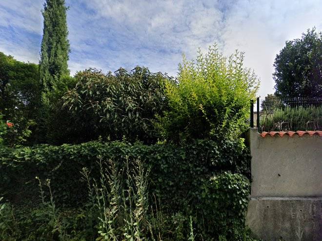 Sur les rives de la charente
