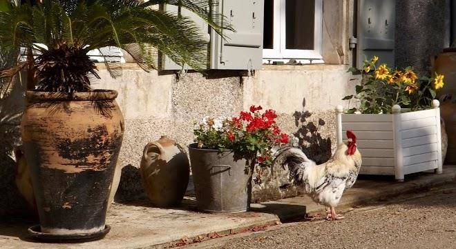 Domaine de lalat bed and breakfast