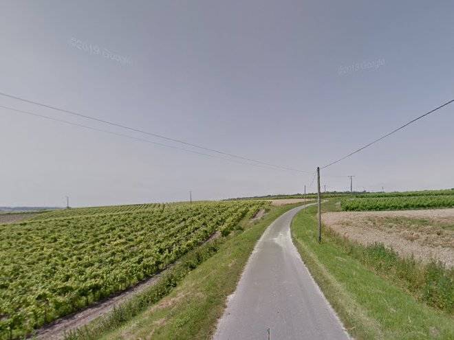 Havre de paix chaleureux&calme au coeur des vignes