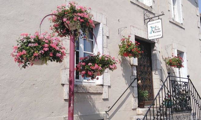 La belle vienne