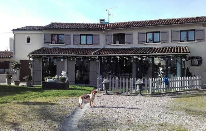 Le Grillage A Poules Image