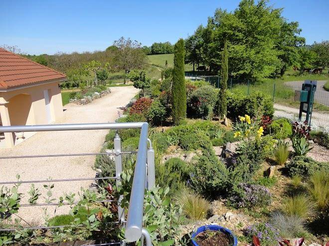 La vigne du causse