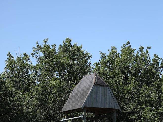 Oasis des ages