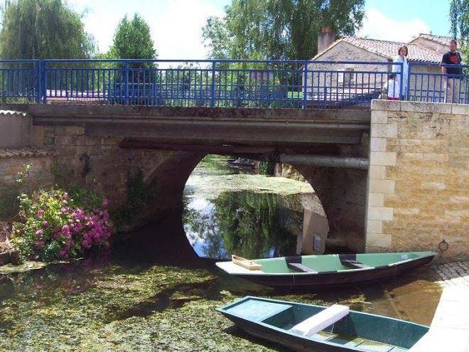 Les roseaux