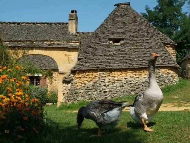 Domaine de la rigaudie
