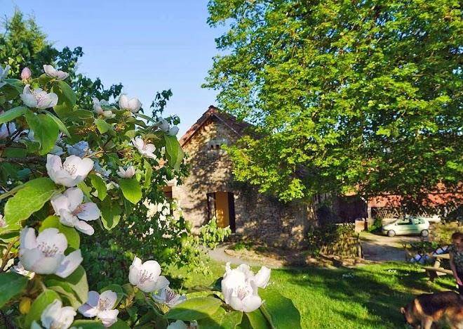 La Ferme Du Combal Image