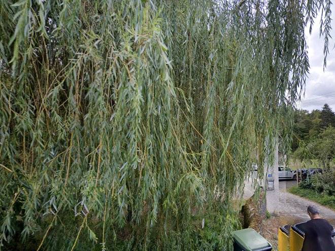 Moulin de rouchillou